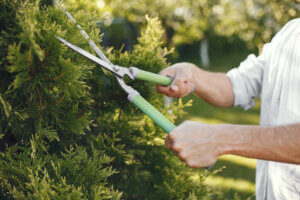 green waste skip bin for gardening waste